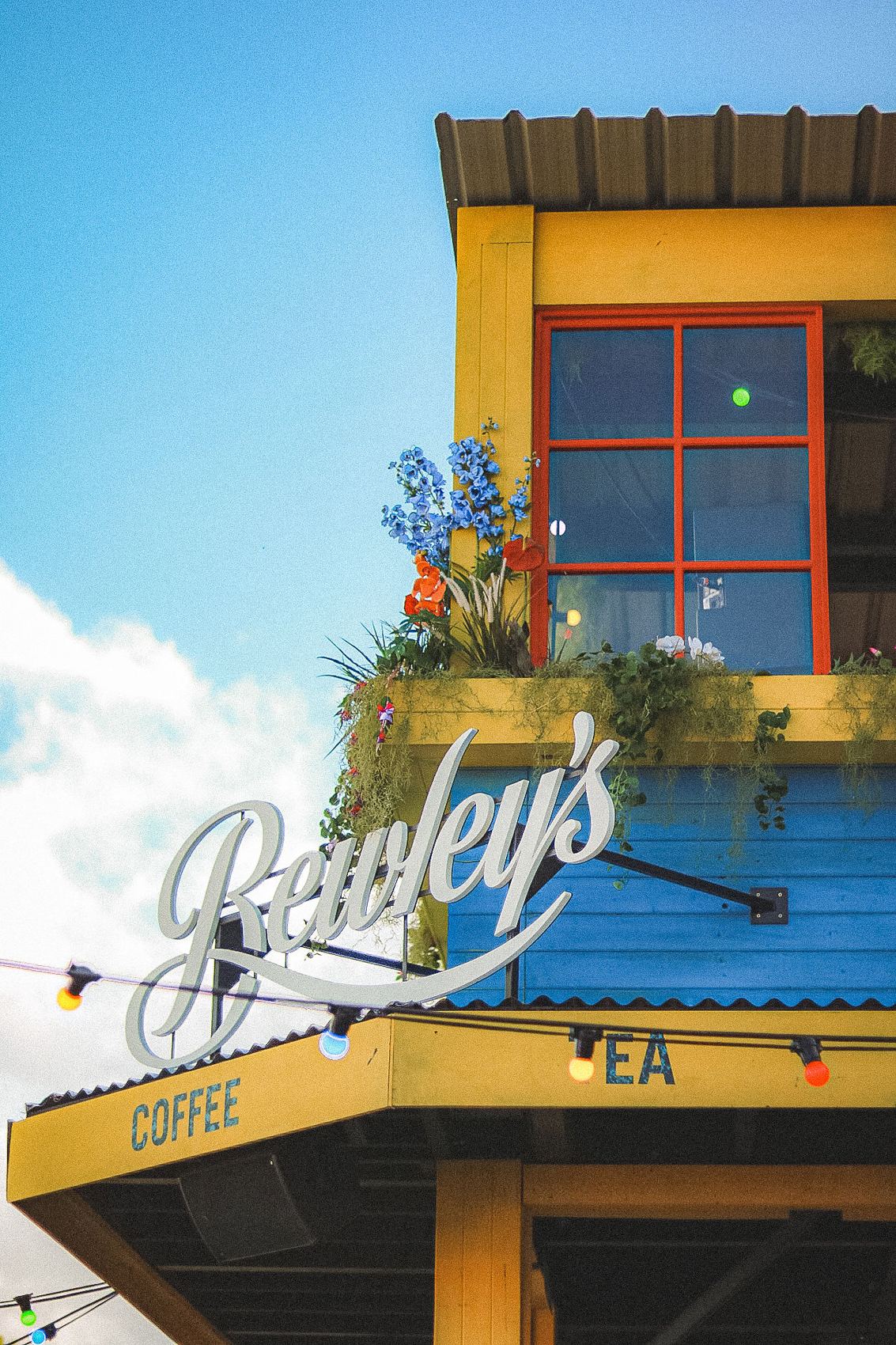 Bewley's Bodega stand under a blue sky, EP 2022